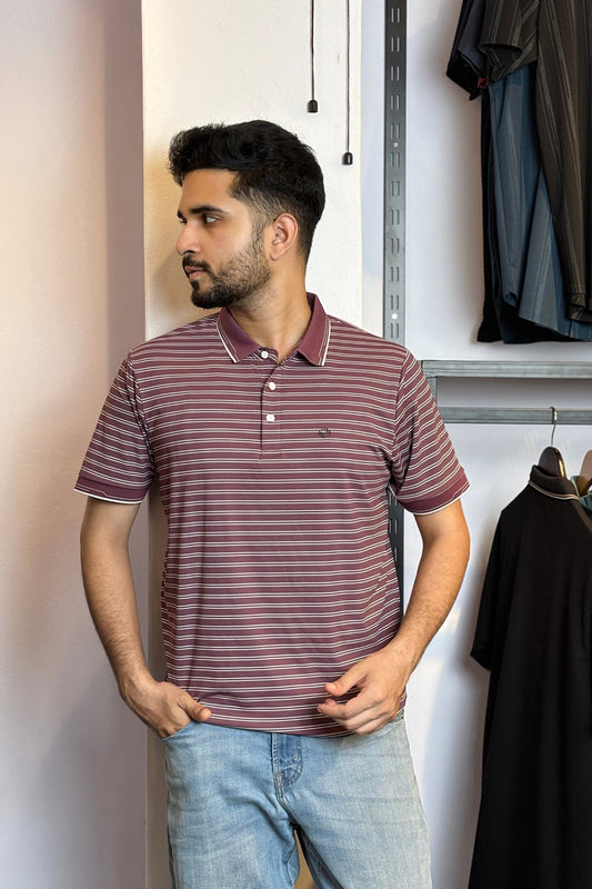 Maroon Stripe Polo T-Shirt |DSP