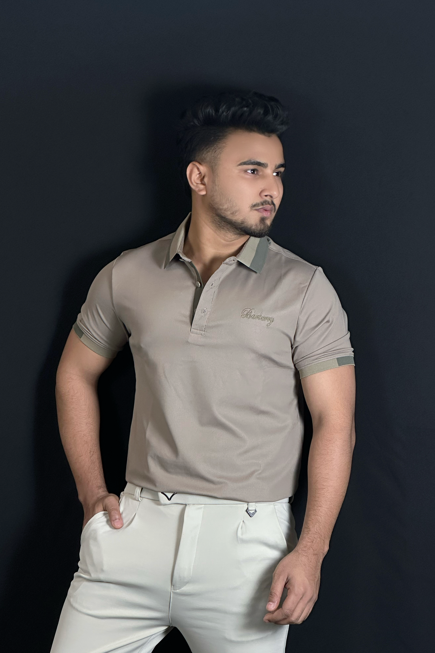 মিডেড অলিভ কালার পোলো টি-শার্ট-Barbery